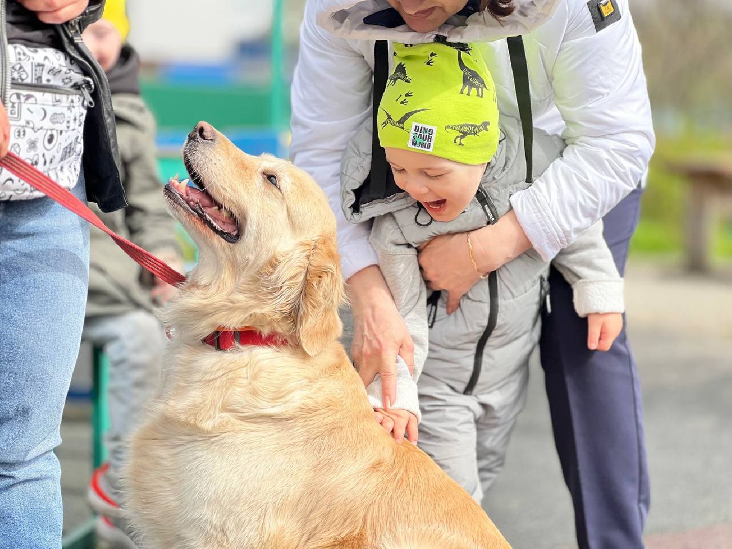 пушкино, ивантеевка, канистерапия, животные, дети инвалиды, центр социального обслуживания,