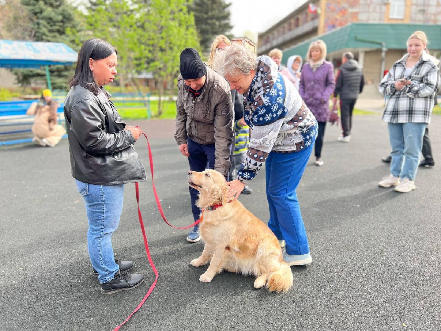 пушкино, ивантеевка, канистерапия, животные, дети инвалиды, центр социального обслуживания,