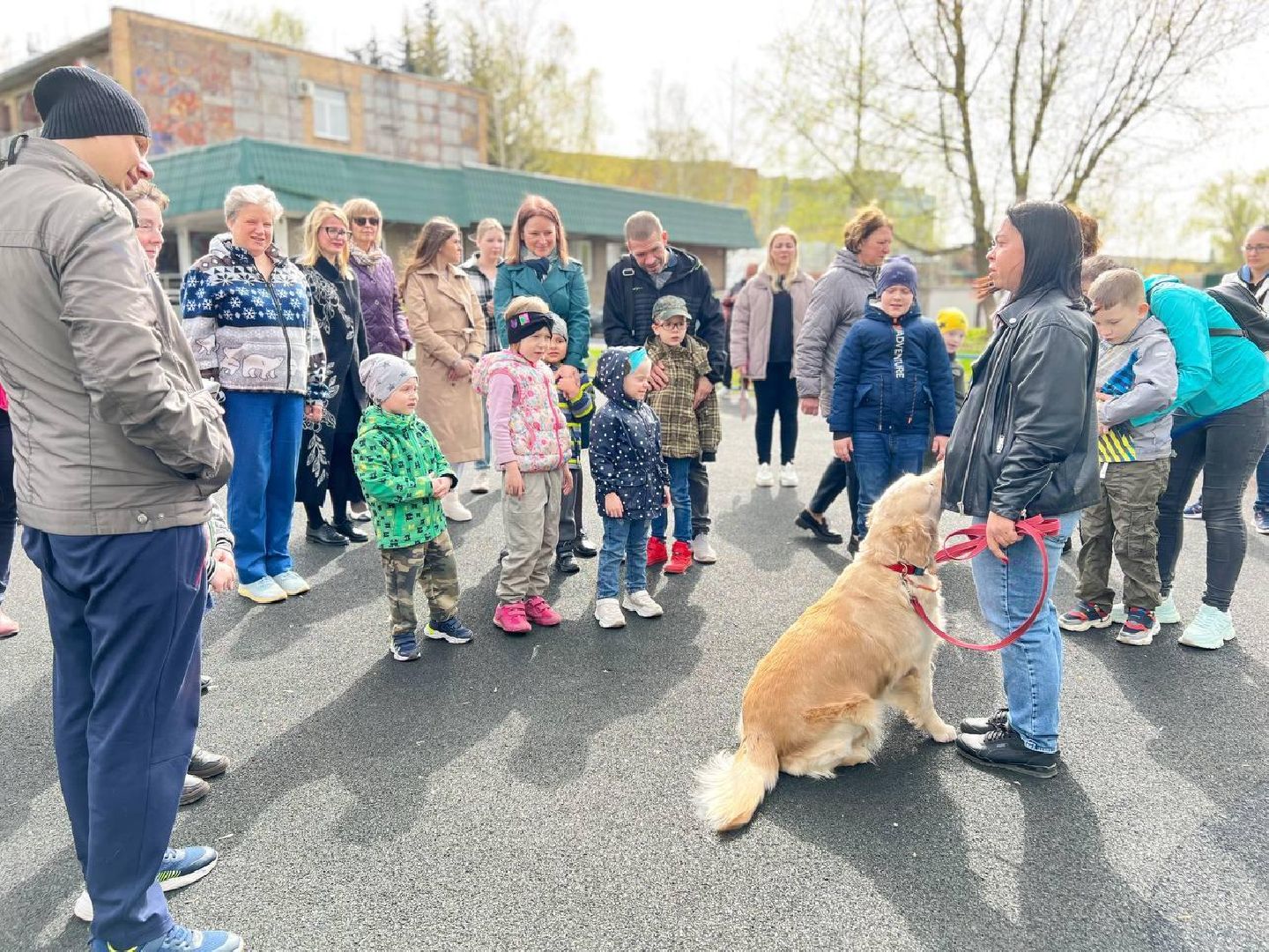 пушкино, ивантеевка, канистерапия, животные, дети инвалиды, центр социального обслуживания,