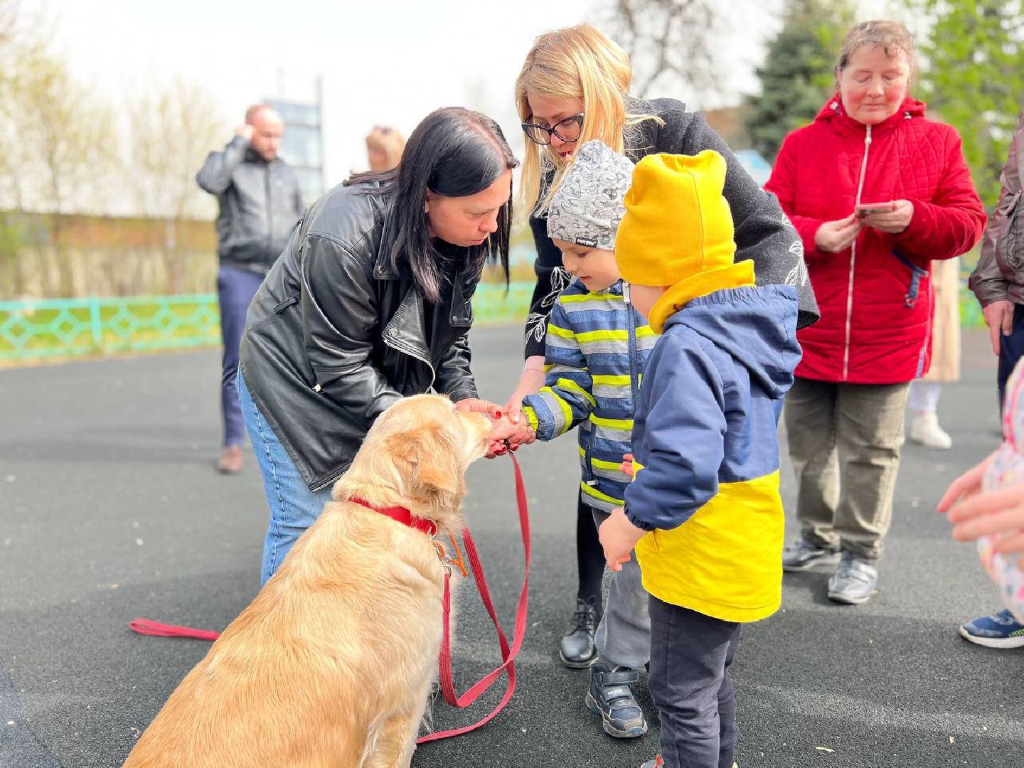 пушкино, ивантеевка, канистерапия, животные, дети инвалиды, центр социального обслуживания,