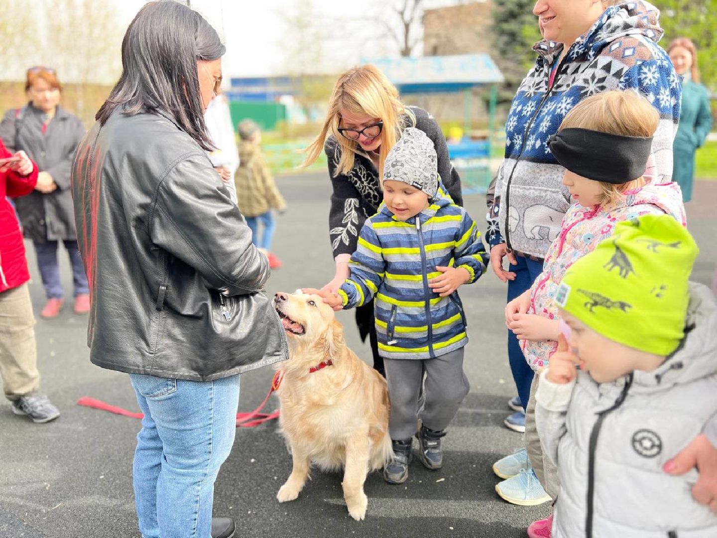 пушкино, ивантеевка, канистерапия, животные, дети инвалиды, центр социального обслуживания,