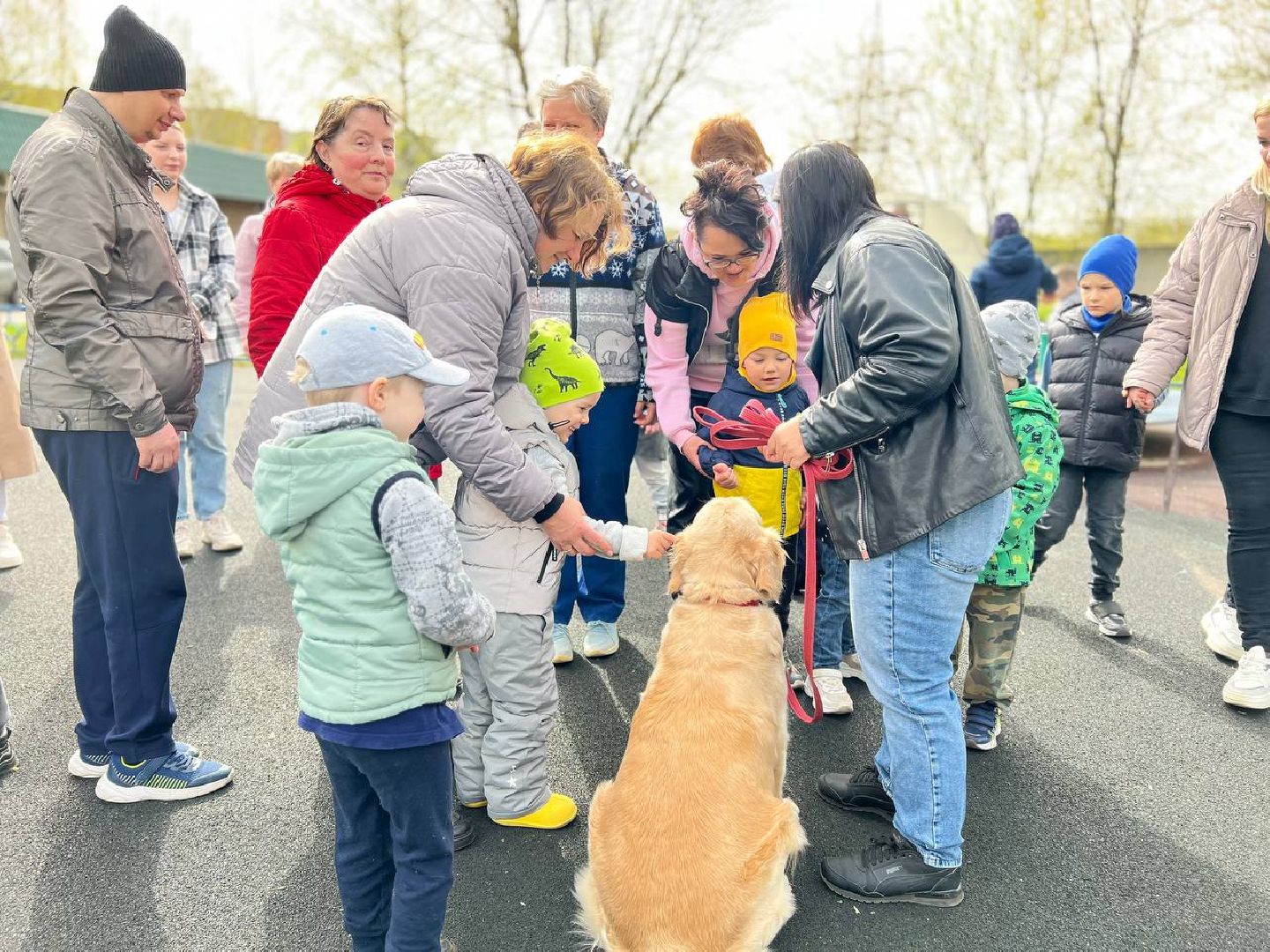 пушкино, ивантеевка, канистерапия, животные, дети инвалиды, центр социального обслуживания,