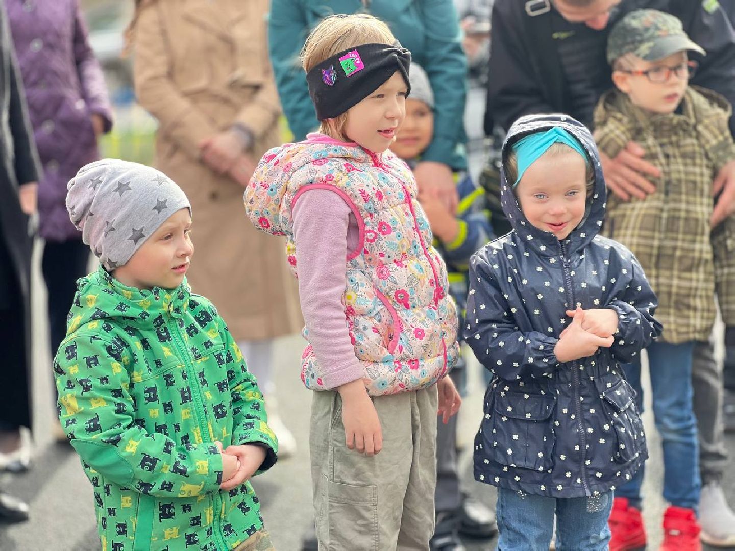 пушкино, ивантеевка, канистерапия, животные, дети инвалиды, центр социального обслуживания,