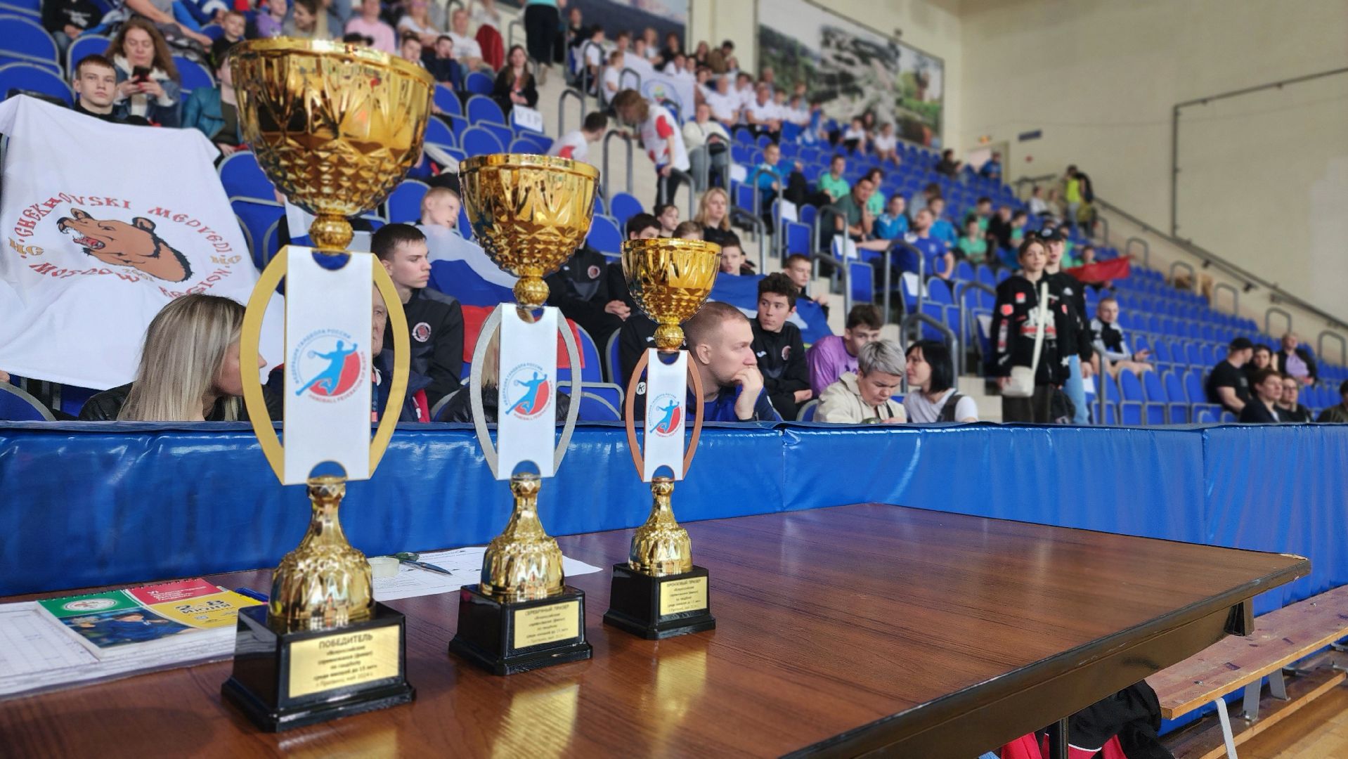 гандбол, спорт, всероссийские соревнования, протвино, импульс,