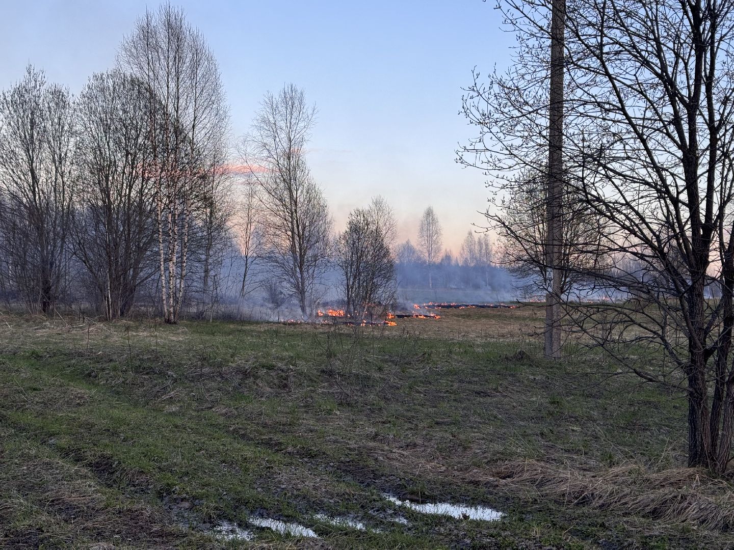 шаховская, мчс россии, пал травы,