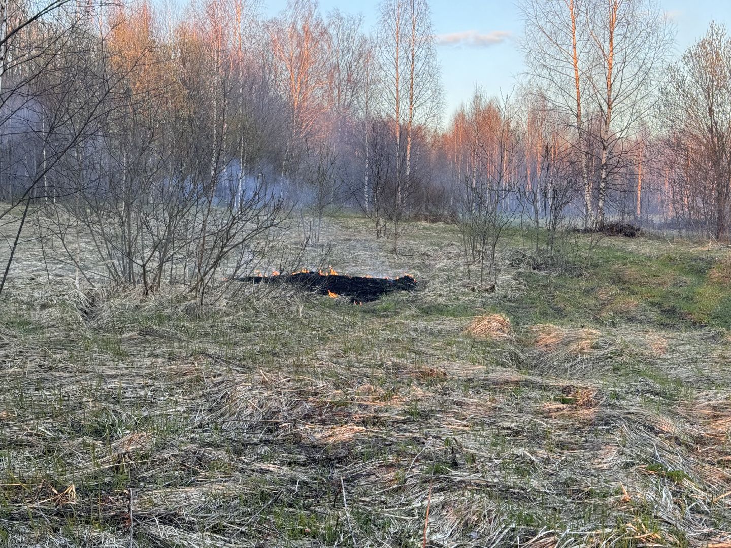 шаховская, мчс россии, пал травы,