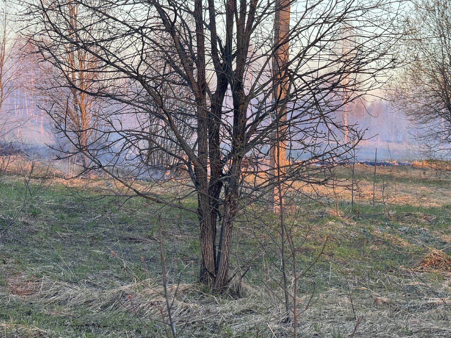 шаховская, мчс россии, пал травы,