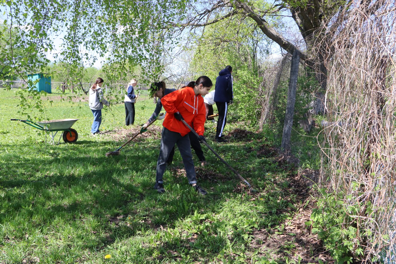 Добрые дела, Серебряные Пруды, Серково, Сила добрых сердец, волонтеры, Движение первых,