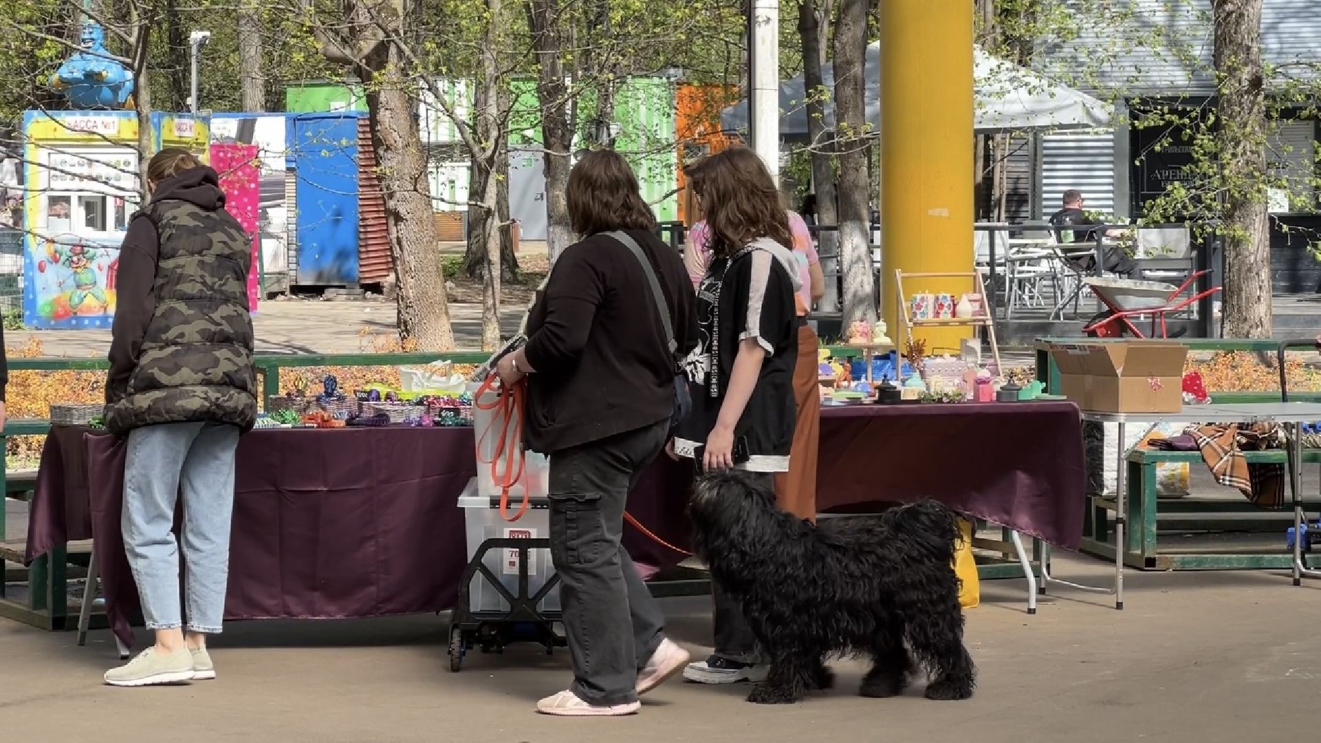 химки, общество, парк, открытие теплого сезона, праздник,