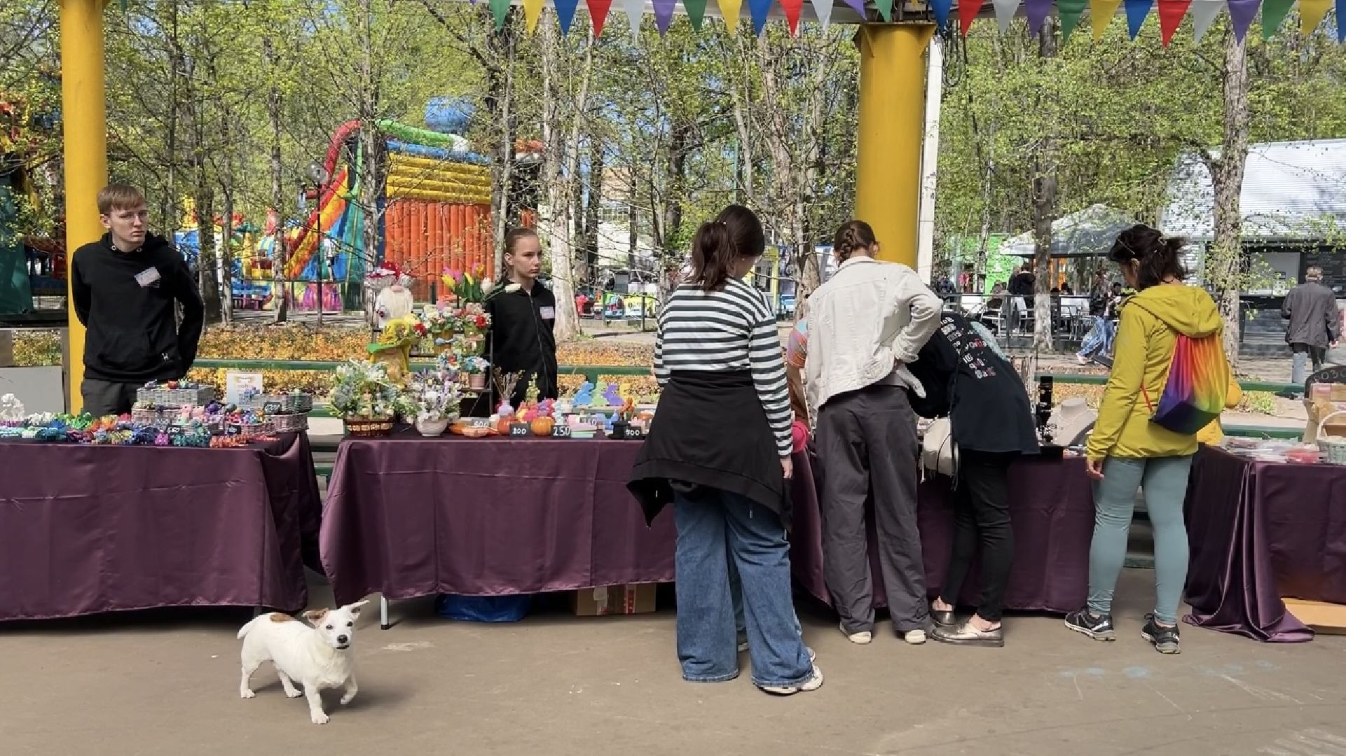 химки, общество, парк, открытие теплого сезона, праздник,