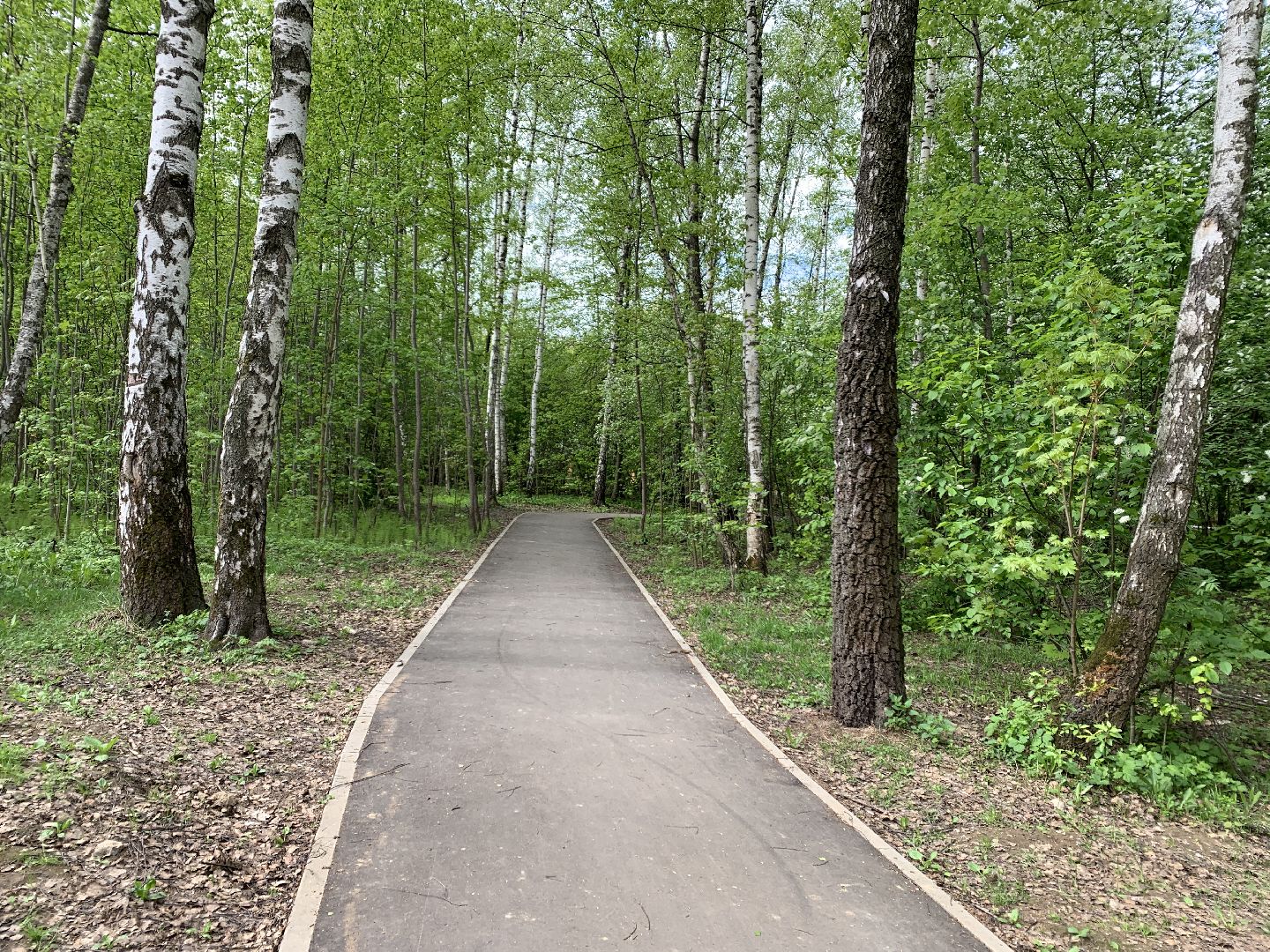 Балашиха, Подмосковье, Благоустройство, Скверы, детские игровые площадки, контейнерные площадки, содержание территорий,