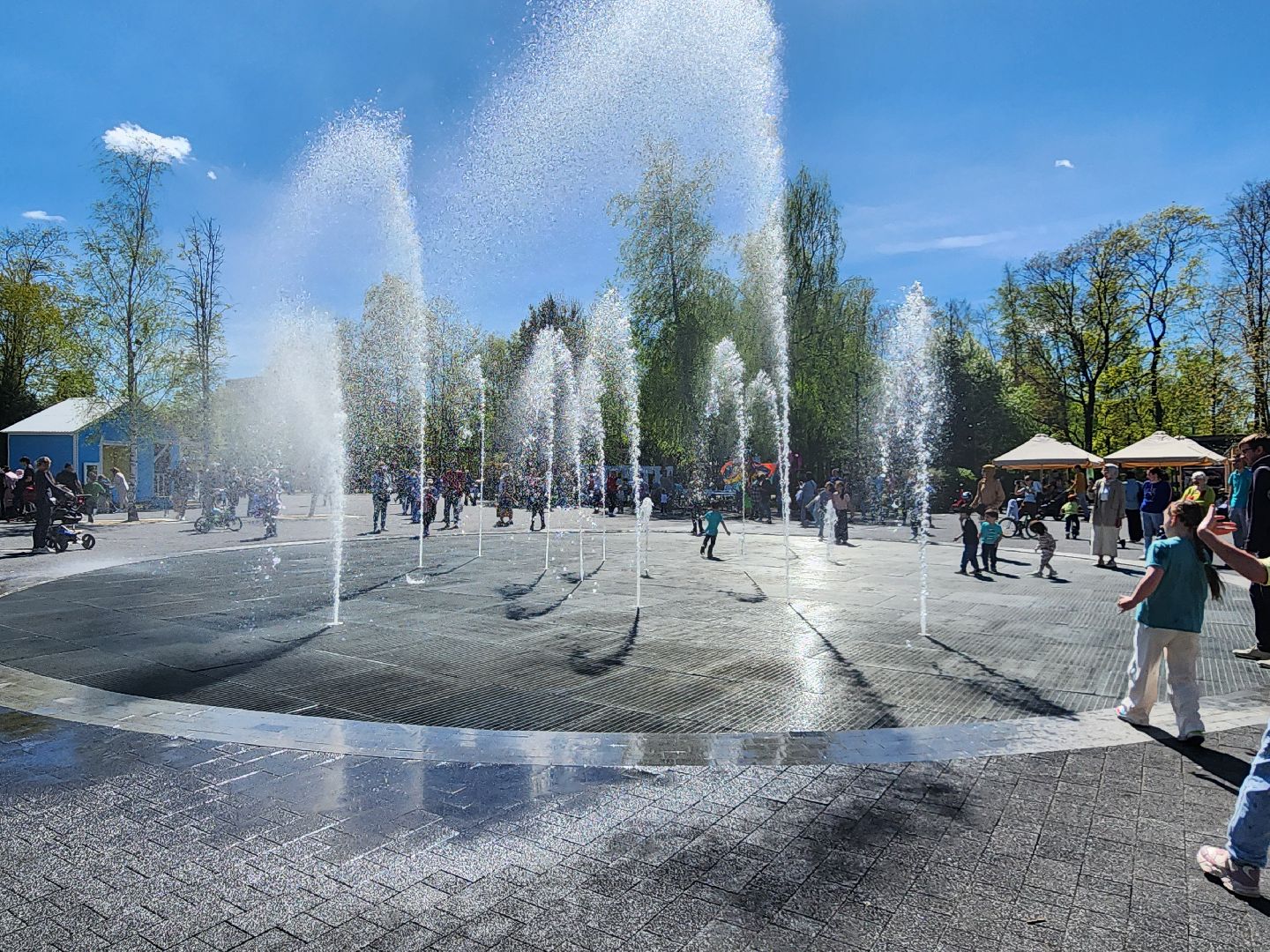 парк мира, первомай, мытищи, отдых в подмосковье,