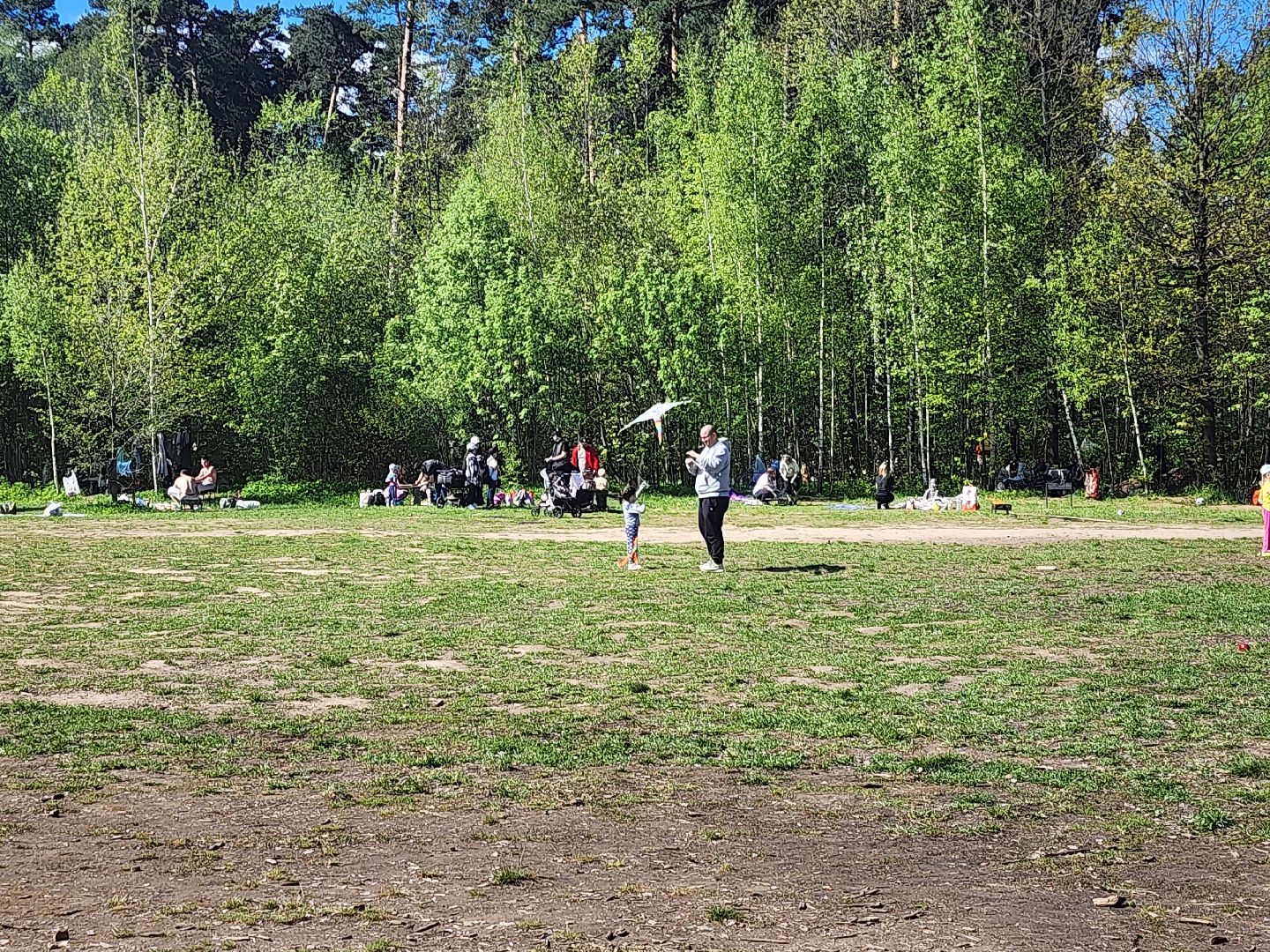 Воздушные змеи, мытищинский лесопарк, первомай,