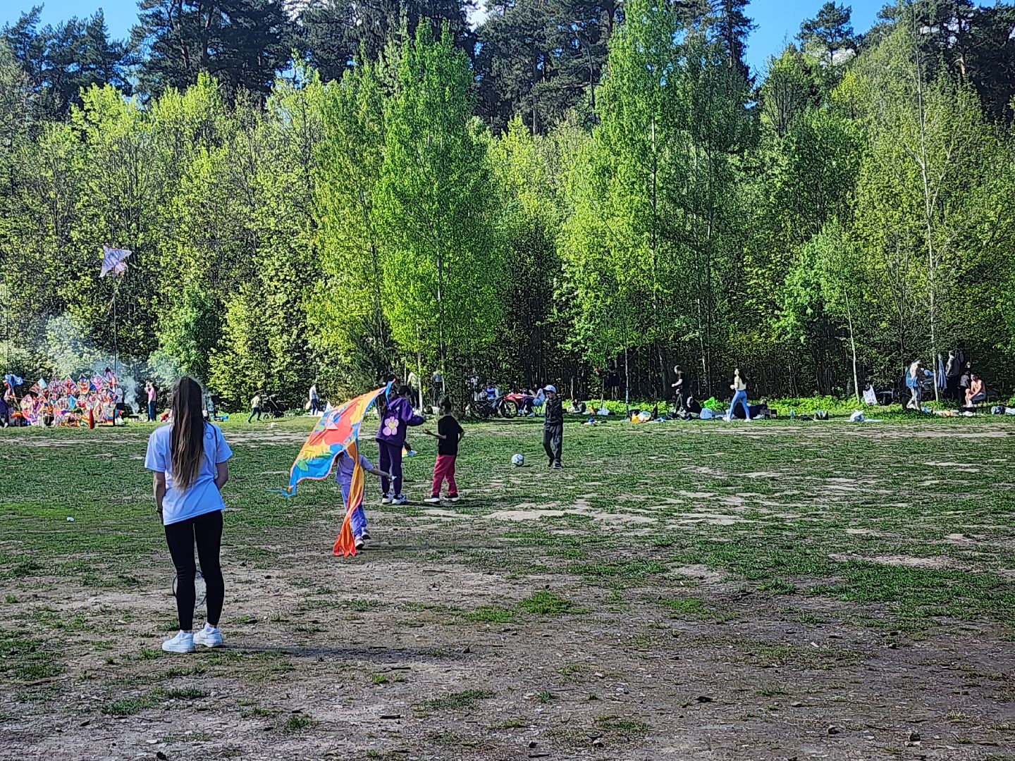Воздушные змеи, мытищинский лесопарк, первомай,