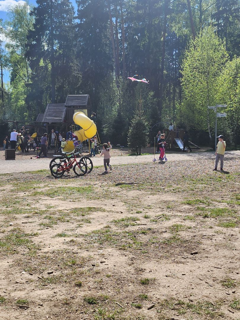 Воздушные змеи, мытищинский лесопарк, первомай,