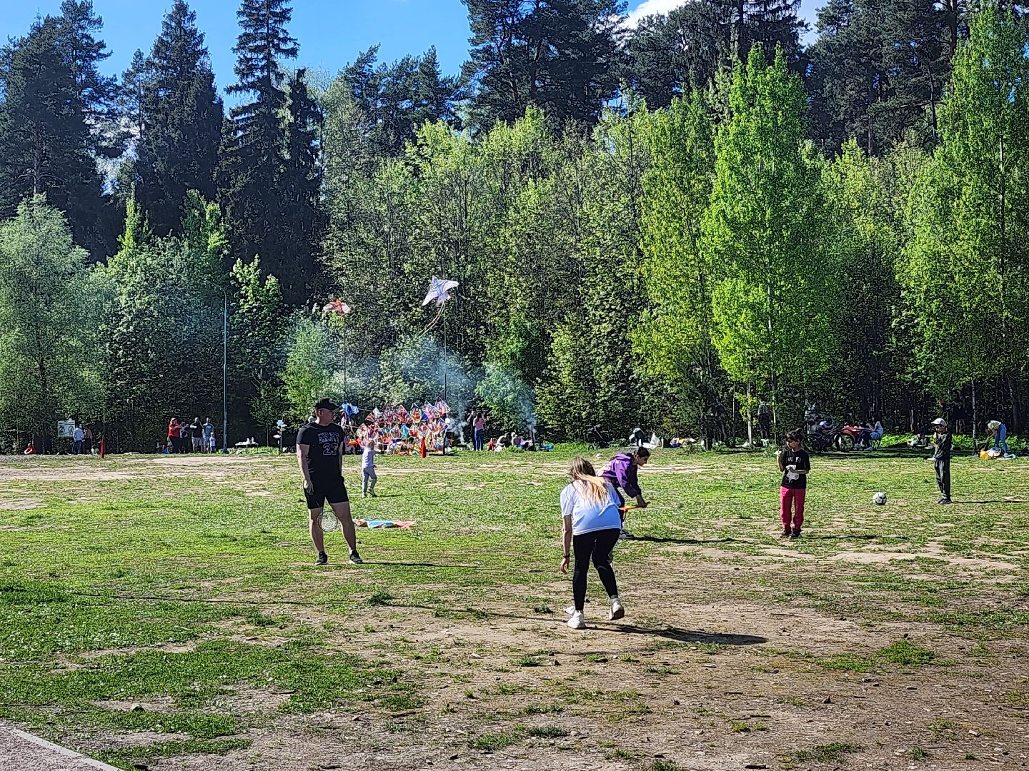Воздушные змеи, мытищинский лесопарк, первомай,