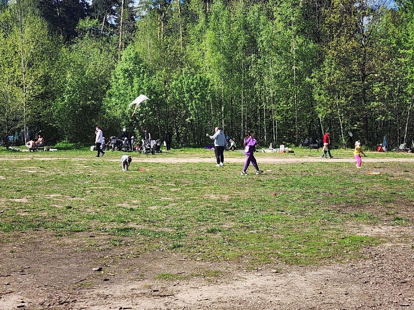 Воздушные змеи, мытищинский лесопарк, первомай,