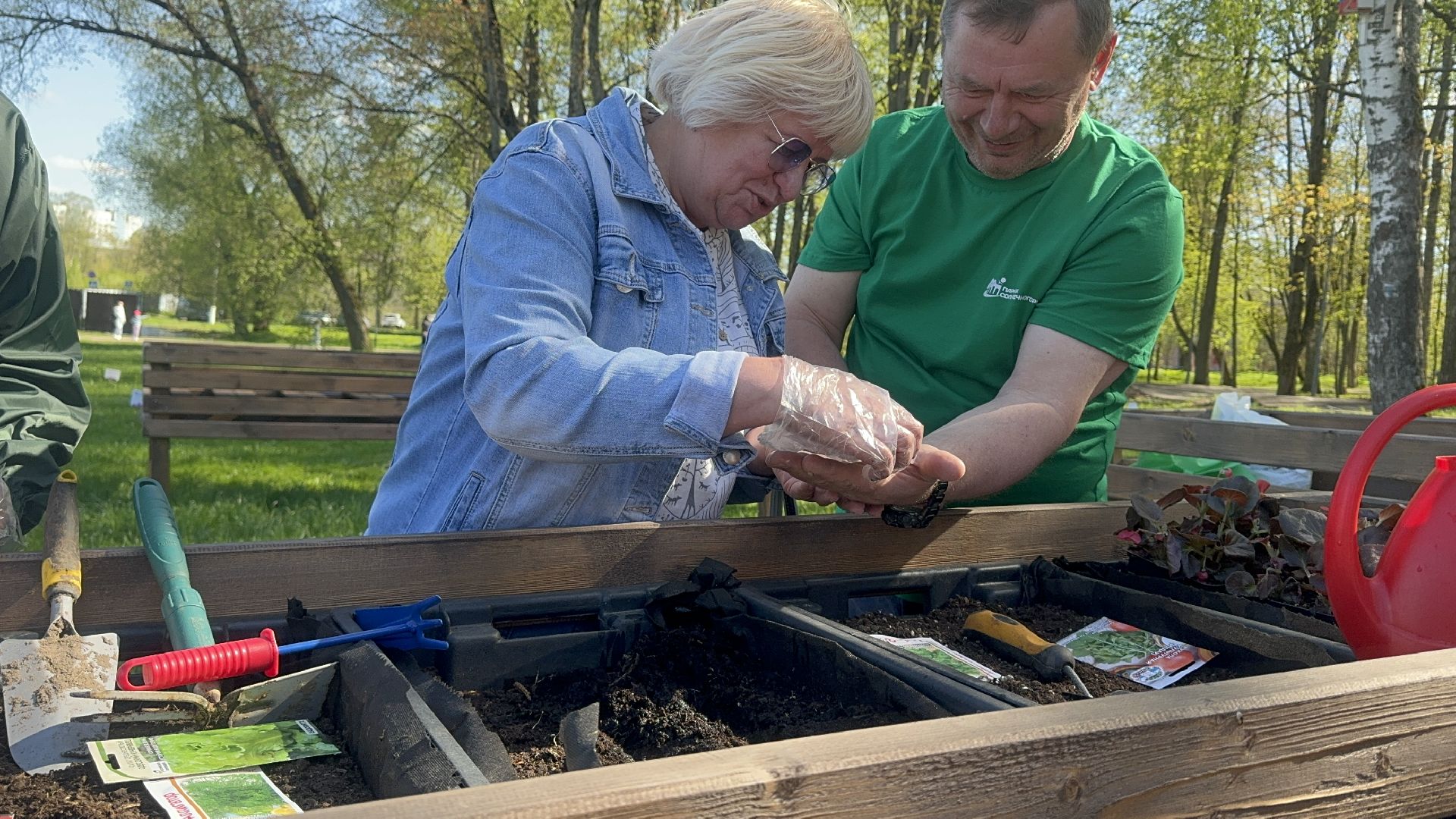 Солнечногорск, общественный огород, проект, Жители, Семена,