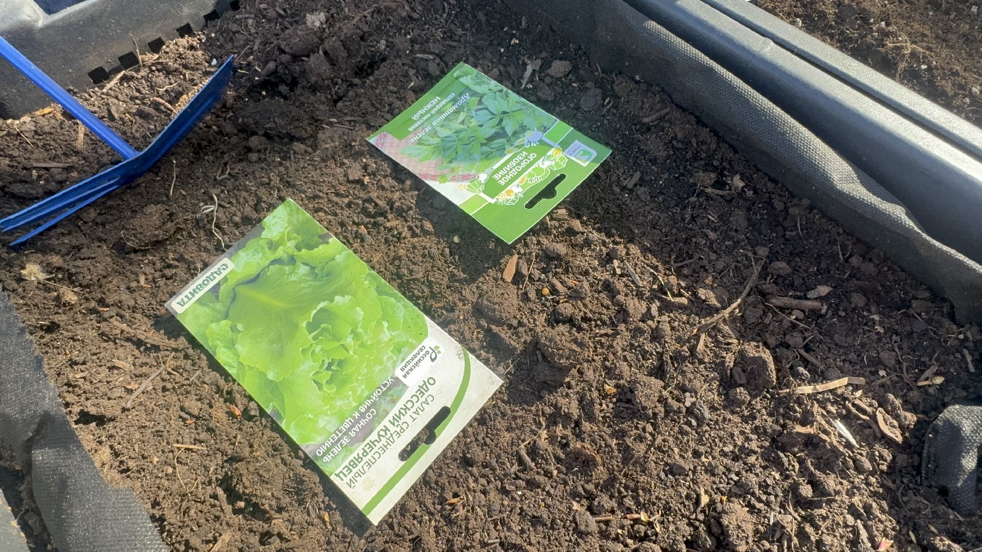 Солнечногорск, общественный огород, проект, Жители, Семена,