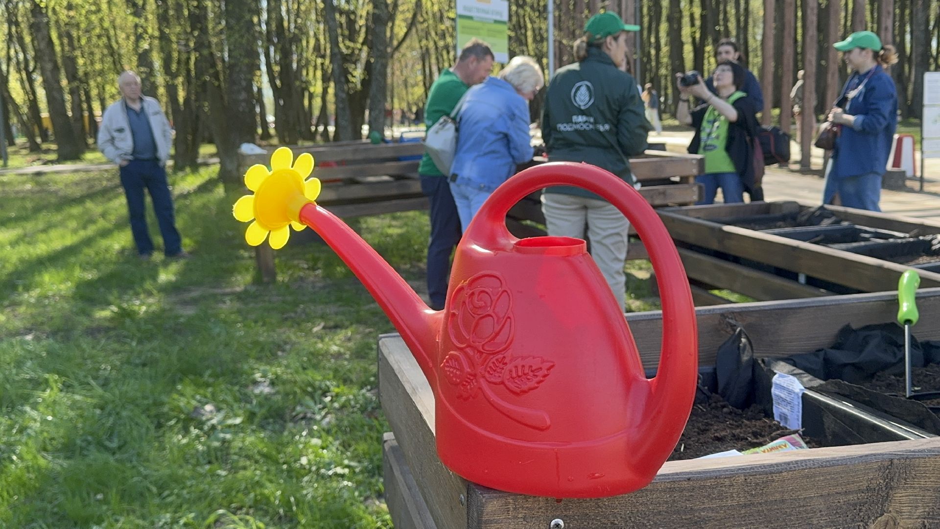 Солнечногорск, общественный огород, проект, Жители, Семена,