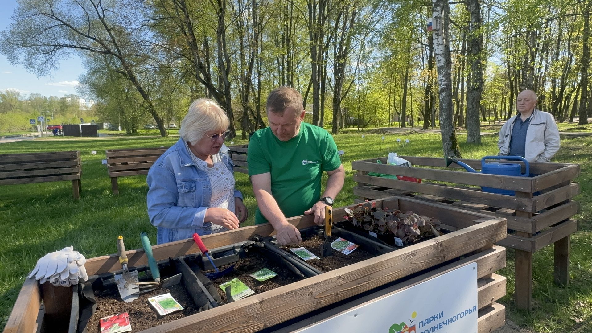 Солнечногорск, общественный огород, проект, Жители, Семена,