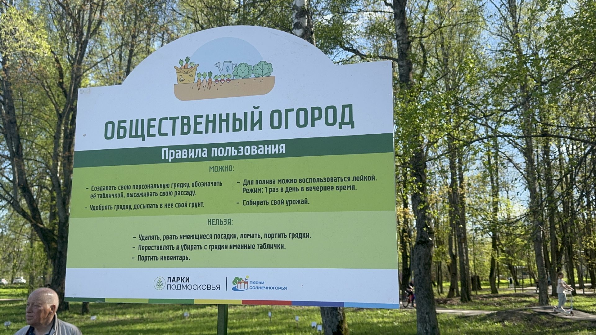 Солнечногорск, общественный огород, проект, Жители, Семена,