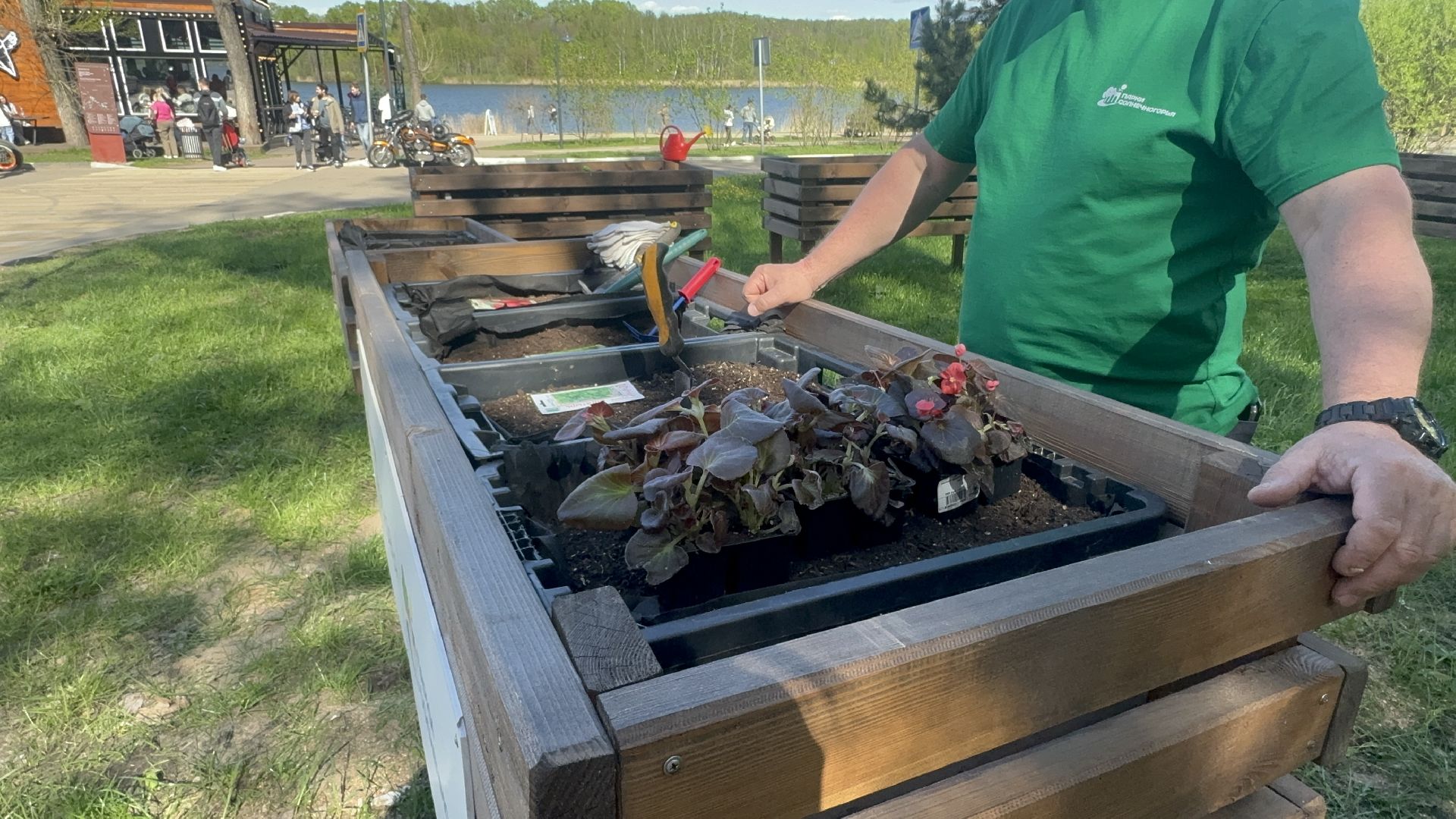 Солнечногорск, общественный огород, проект, Жители, Семена,