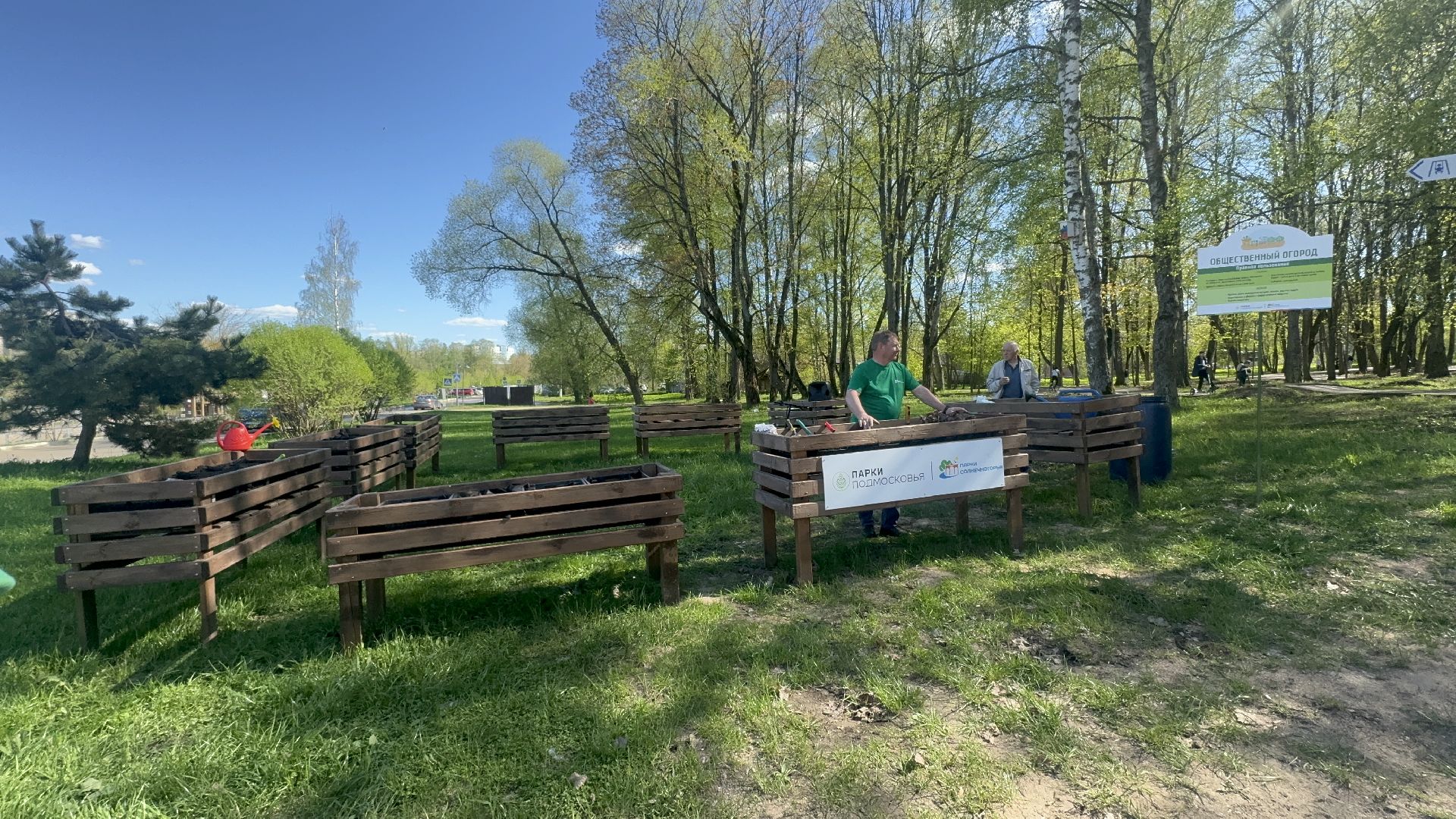 Солнечногорск, общественный огород, проект, Жители, Семена,