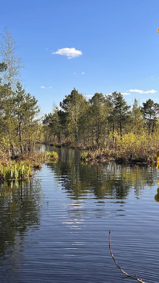 Звенигород, Туризм,