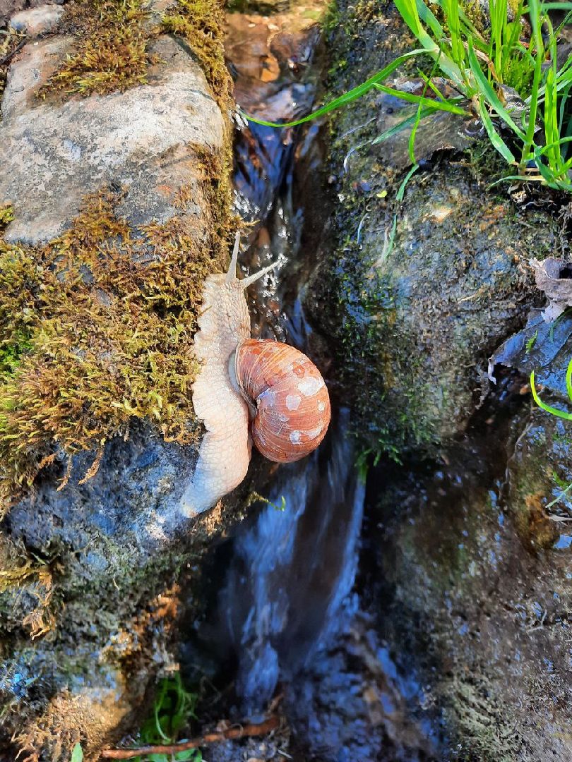 Звенигород, Туризм,