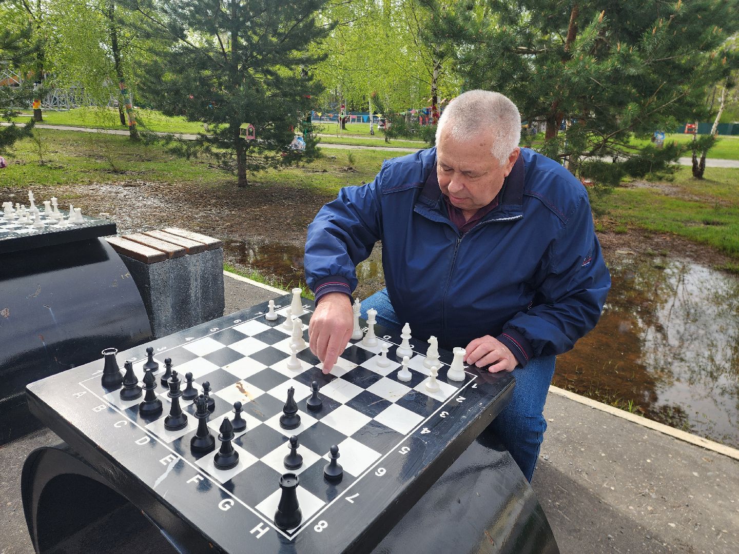 шатура, активное долголетие, шахматы, шашки, настольные игры на свежем воздухе, парк шатуры, настольный теннис,