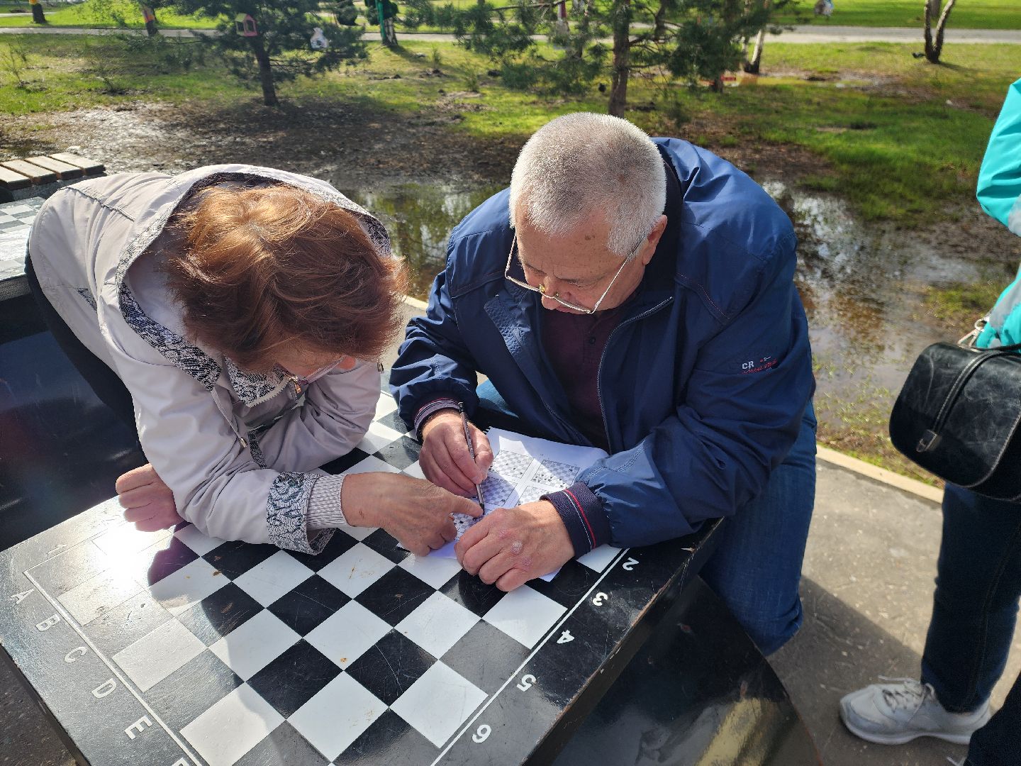 шатура, активное долголетие, шахматы, шашки, настольные игры на свежем воздухе, парк шатуры, настольный теннис,