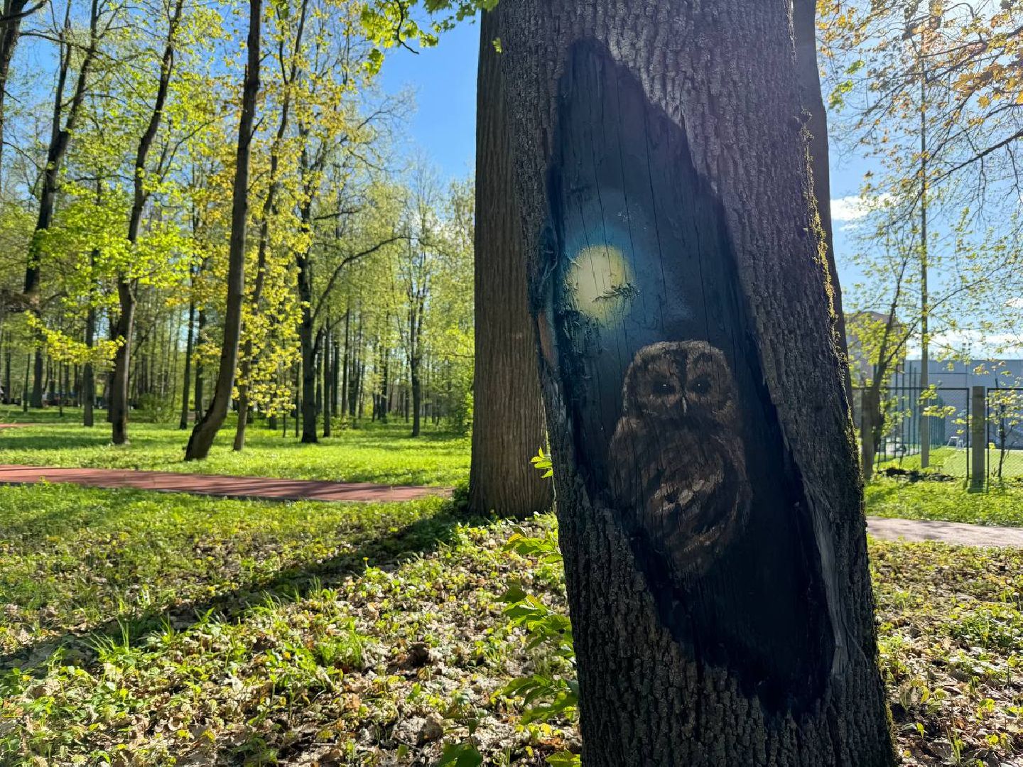 парк, парк арт, природа, Лосино-Петровский,