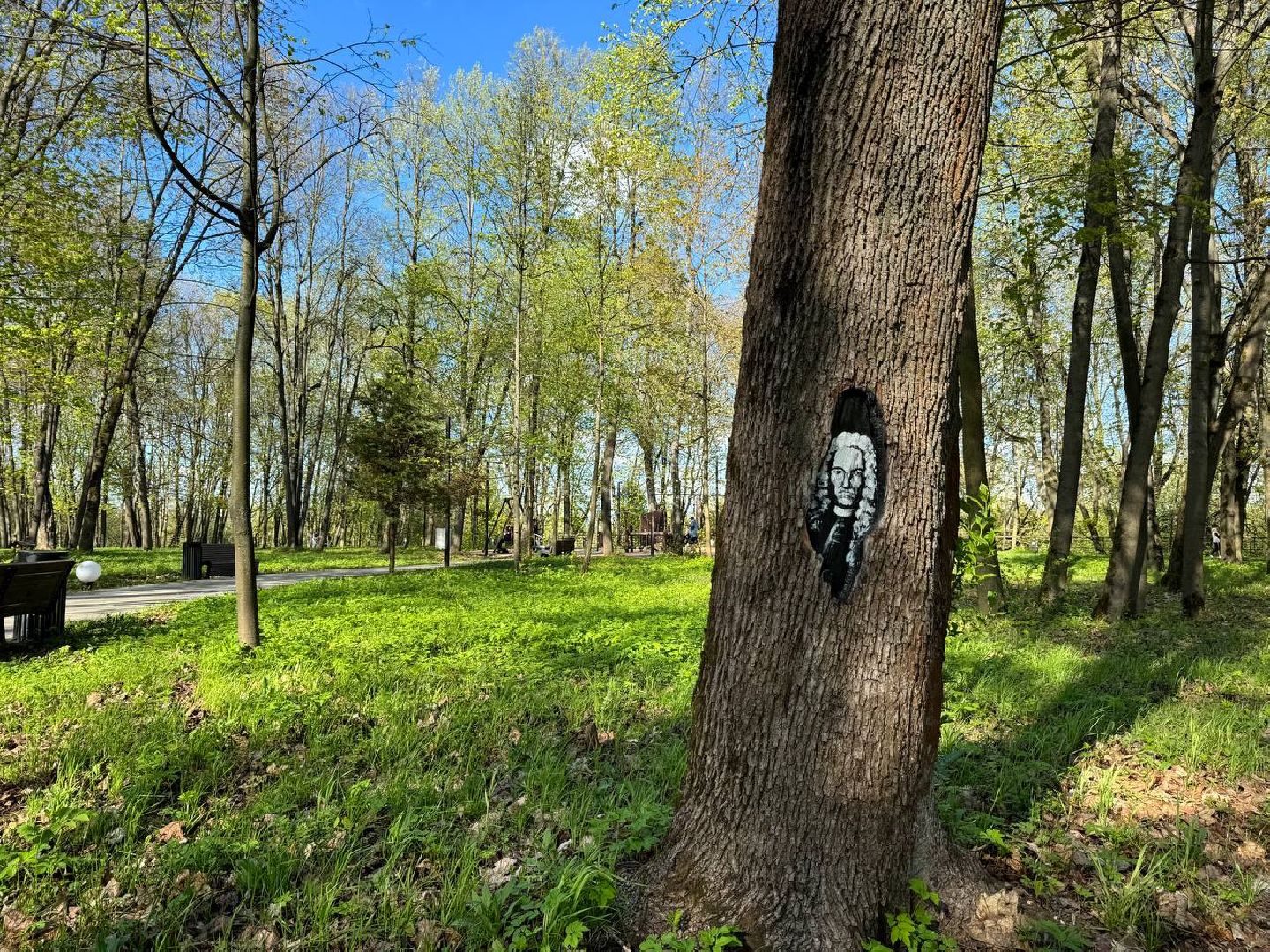 парк, парк арт, природа, Лосино-Петровский,