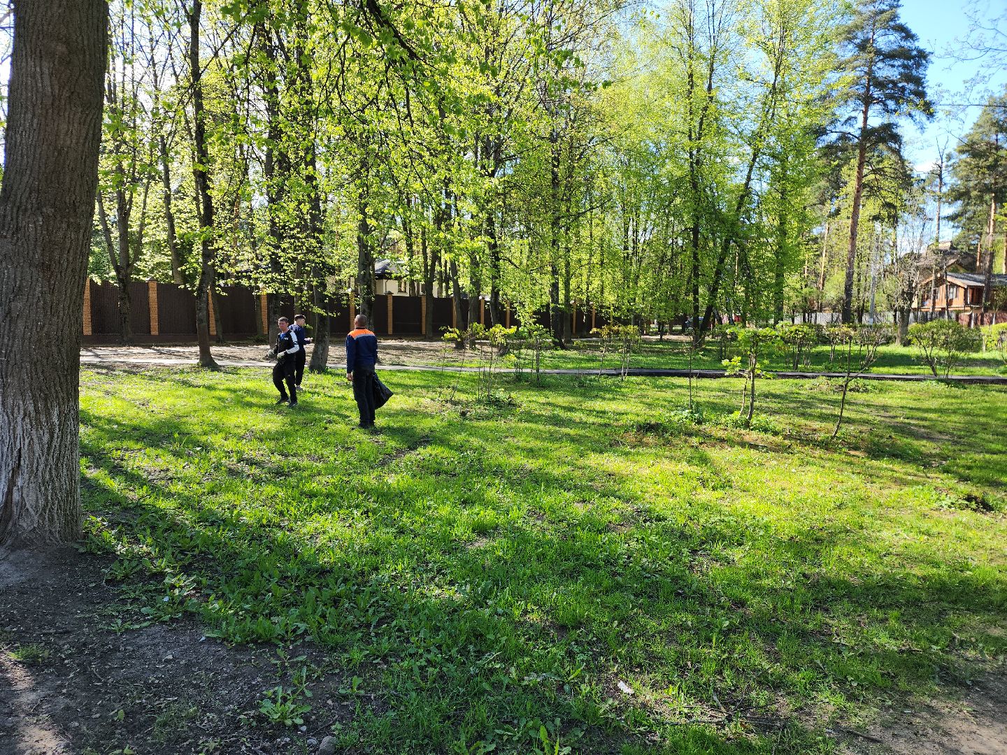 пушкино, маяковский, памятник, сквер, уборка общественных территорий,