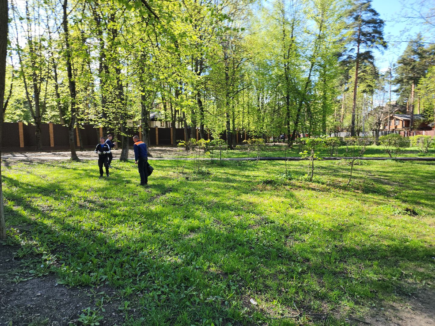 пушкино, маяковский, памятник, сквер, уборка общественных территорий,