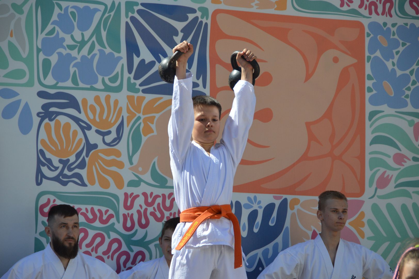 шатура, каратэ-до, мастер-класс по каратэ, тора, Орехово-Зуево, Павловский-Посад, путилково, химки, городские парки Шатуры,пустая рука,