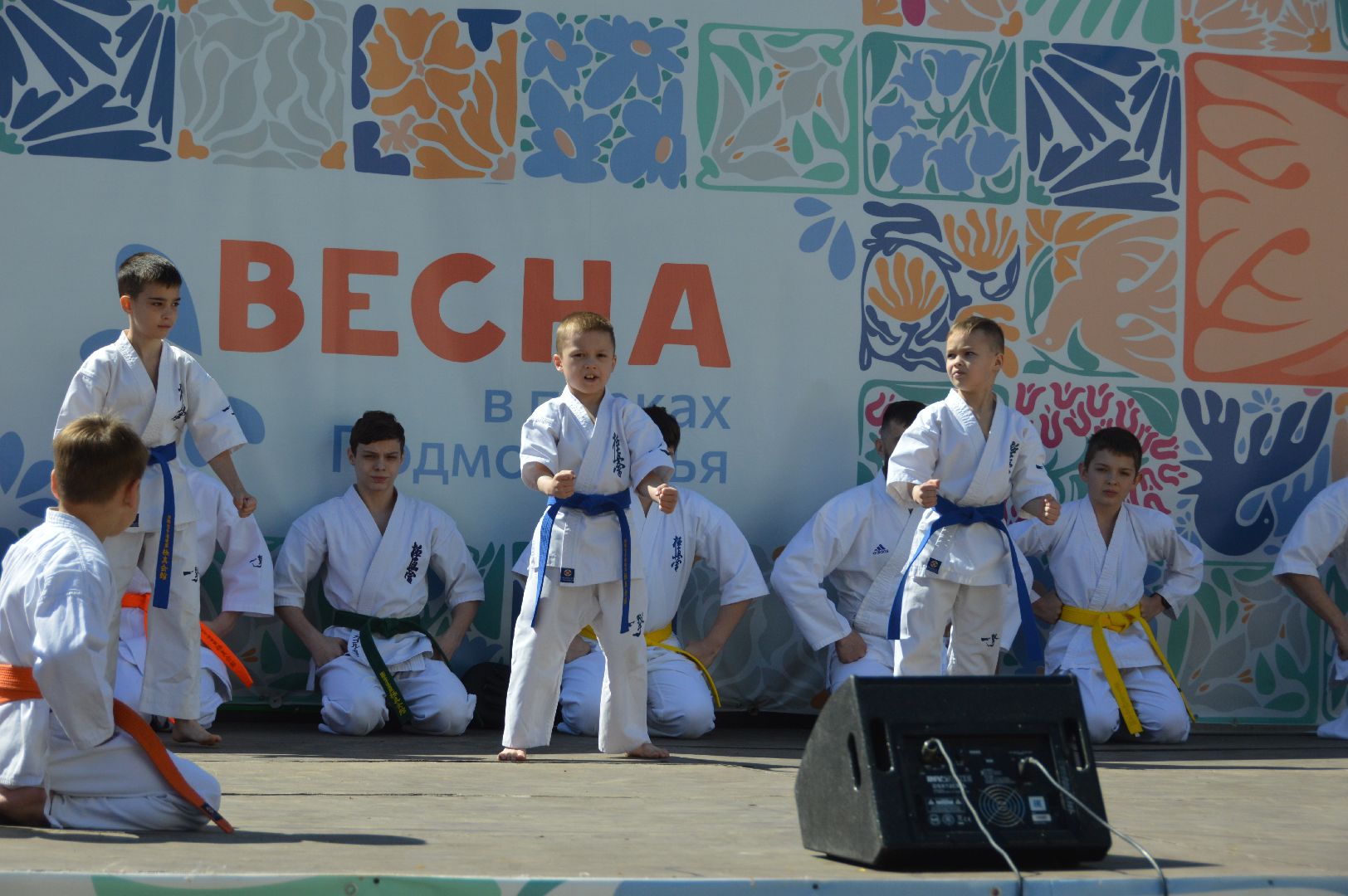 шатура, каратэ-до, мастер-класс по каратэ, тора, Орехово-Зуево, Павловский-Посад, путилково, химки, городские парки Шатуры,пустая рука,