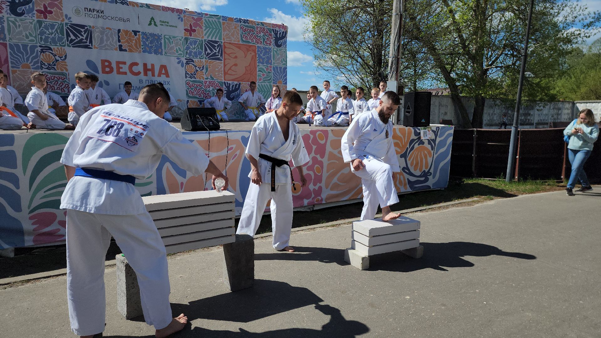 шатура, каратэ-до, мастер-класс по каратэ, тора, Орехово-Зуево, Павловский-Посад, путилково, химки, городские парки Шатуры,пустая рука,