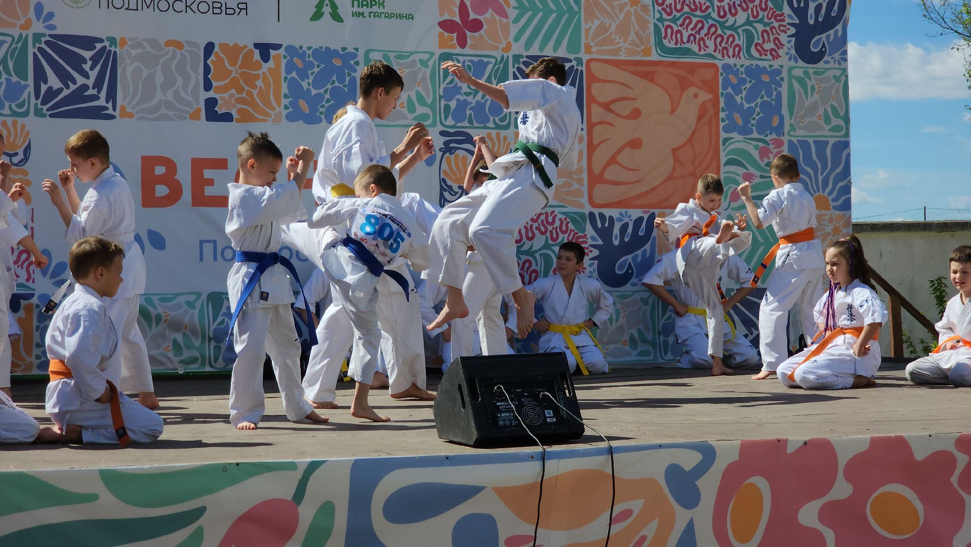 шатура, каратэ-до, мастер-класс по каратэ, тора, Орехово-Зуево, Павловский-Посад, путилково, химки, городские парки Шатуры,пустая рука,