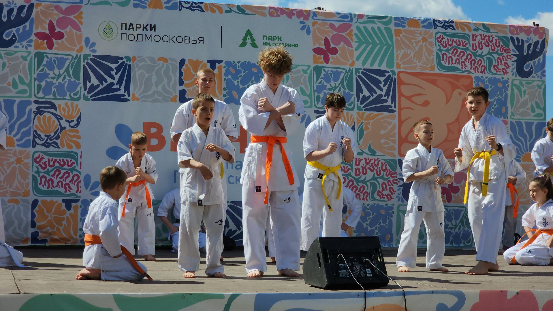 шатура, каратэ-до, мастер-класс по каратэ, тора, Орехово-Зуево, Павловский-Посад, путилково, химки, городские парки Шатуры,пустая рука,