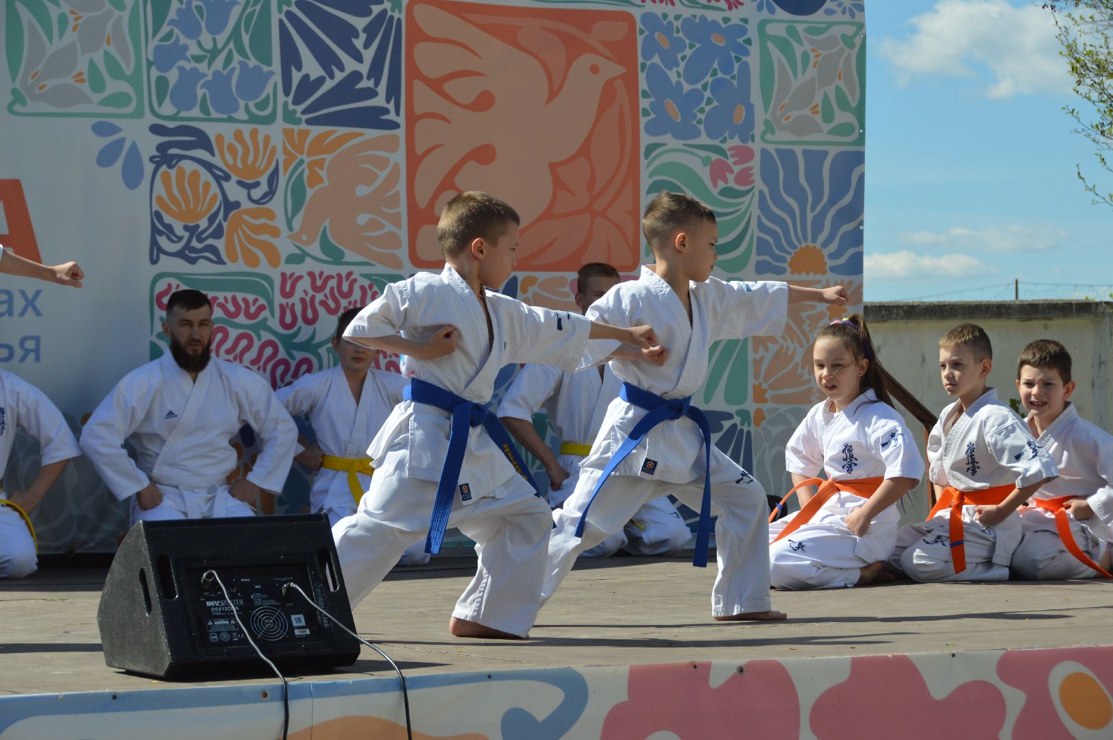 шатура, каратэ-до, мастер-класс по каратэ, тора, Орехово-Зуево, Павловский-Посад, путилково, химки, городские парки Шатуры,пустая рука,