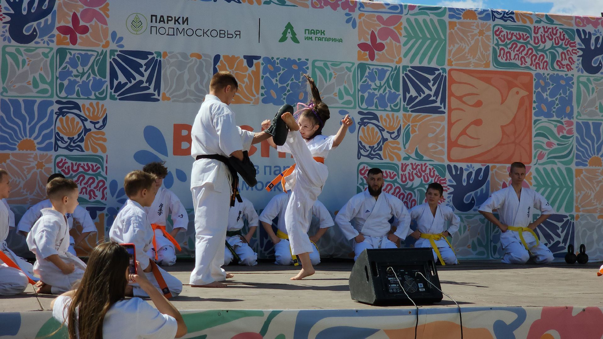 шатура, каратэ-до, мастер-класс по каратэ, тора, Орехово-Зуево, Павловский-Посад, путилково, химки, городские парки Шатуры,пустая рука,