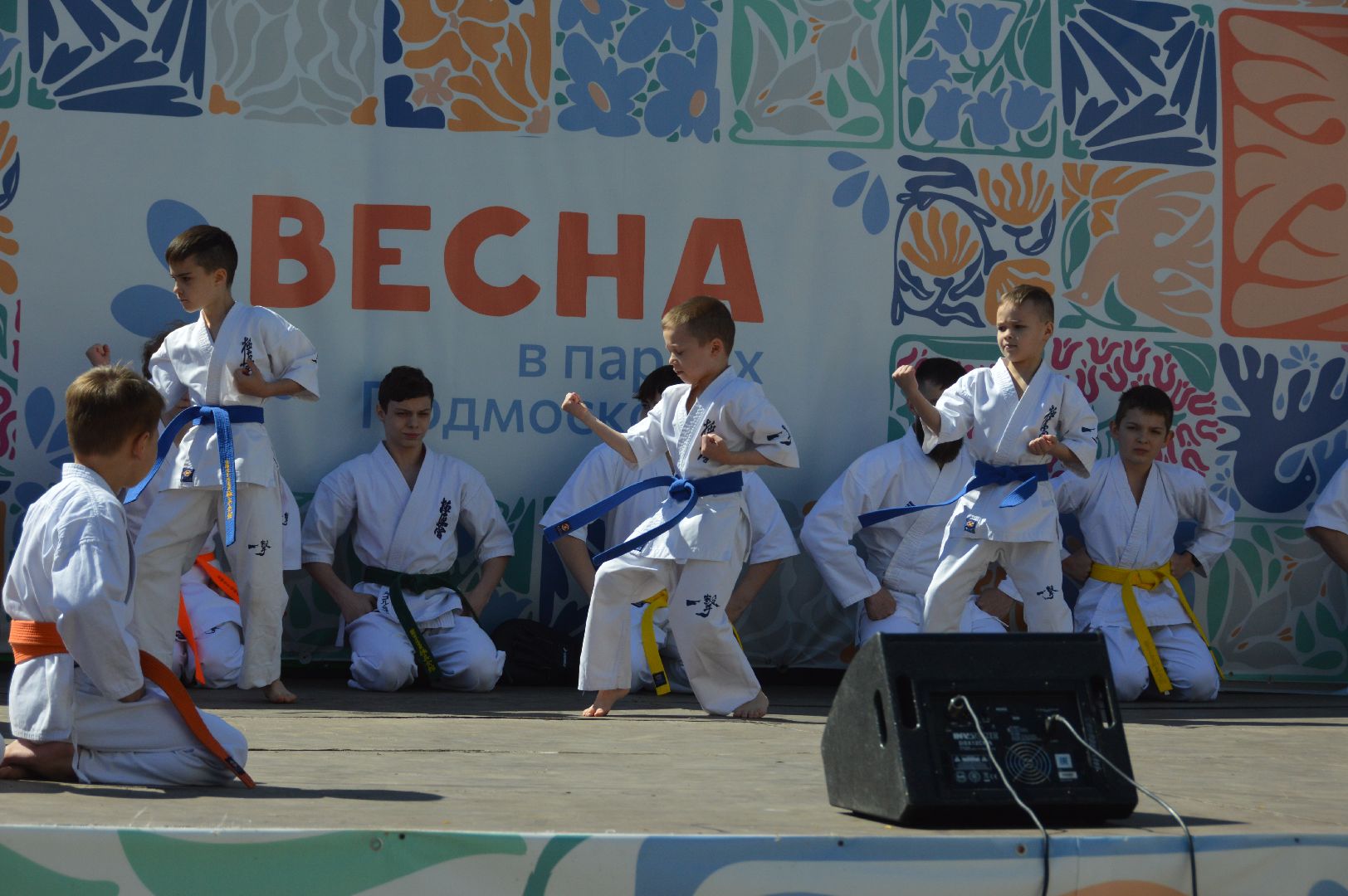 шатура, каратэ-до, мастер-класс по каратэ, тора, Орехово-Зуево, Павловский-Посад, путилково, химки, городские парки Шатуры,пустая рука,