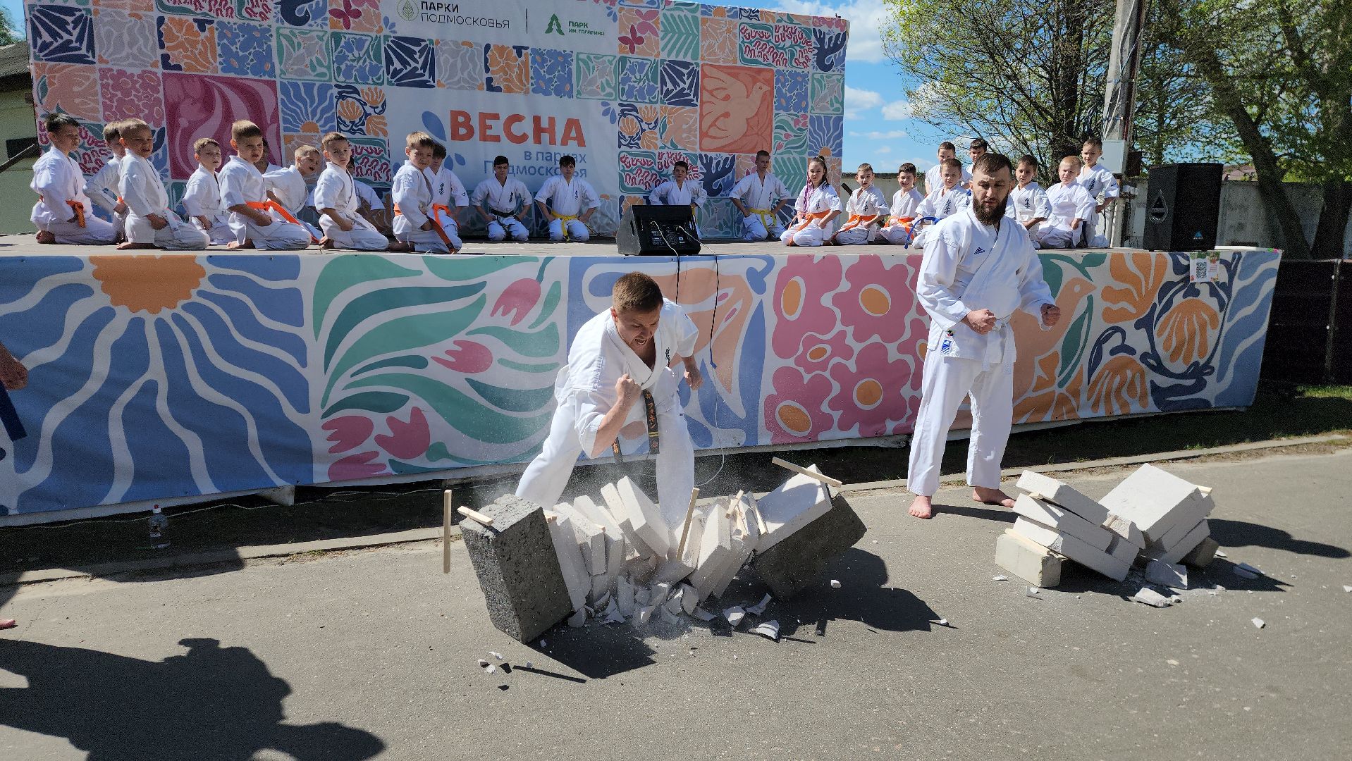 шатура, каратэ-до, мастер-класс по каратэ, тора, Орехово-Зуево, Павловский-Посад, путилково, химки, городские парки Шатуры,пустая рука,