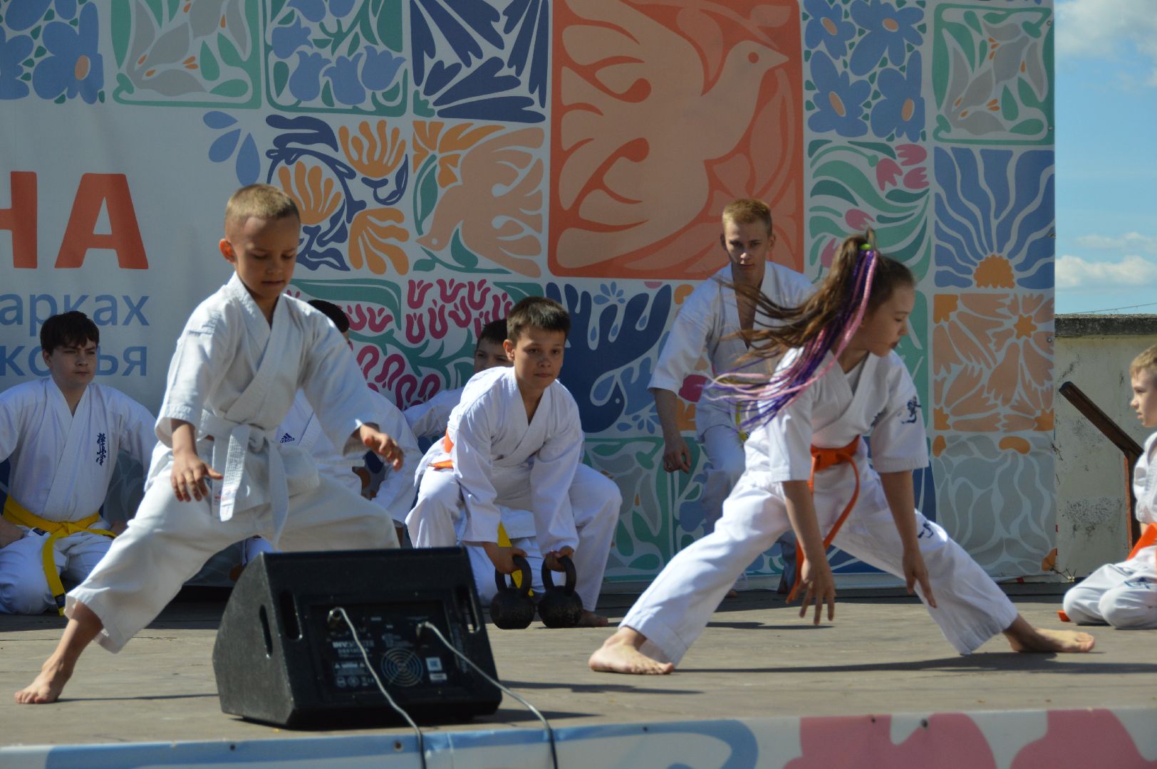 шатура, каратэ-до, мастер-класс по каратэ, тора, Орехово-Зуево, Павловский-Посад, путилково, химки, городские парки Шатуры,пустая рука,