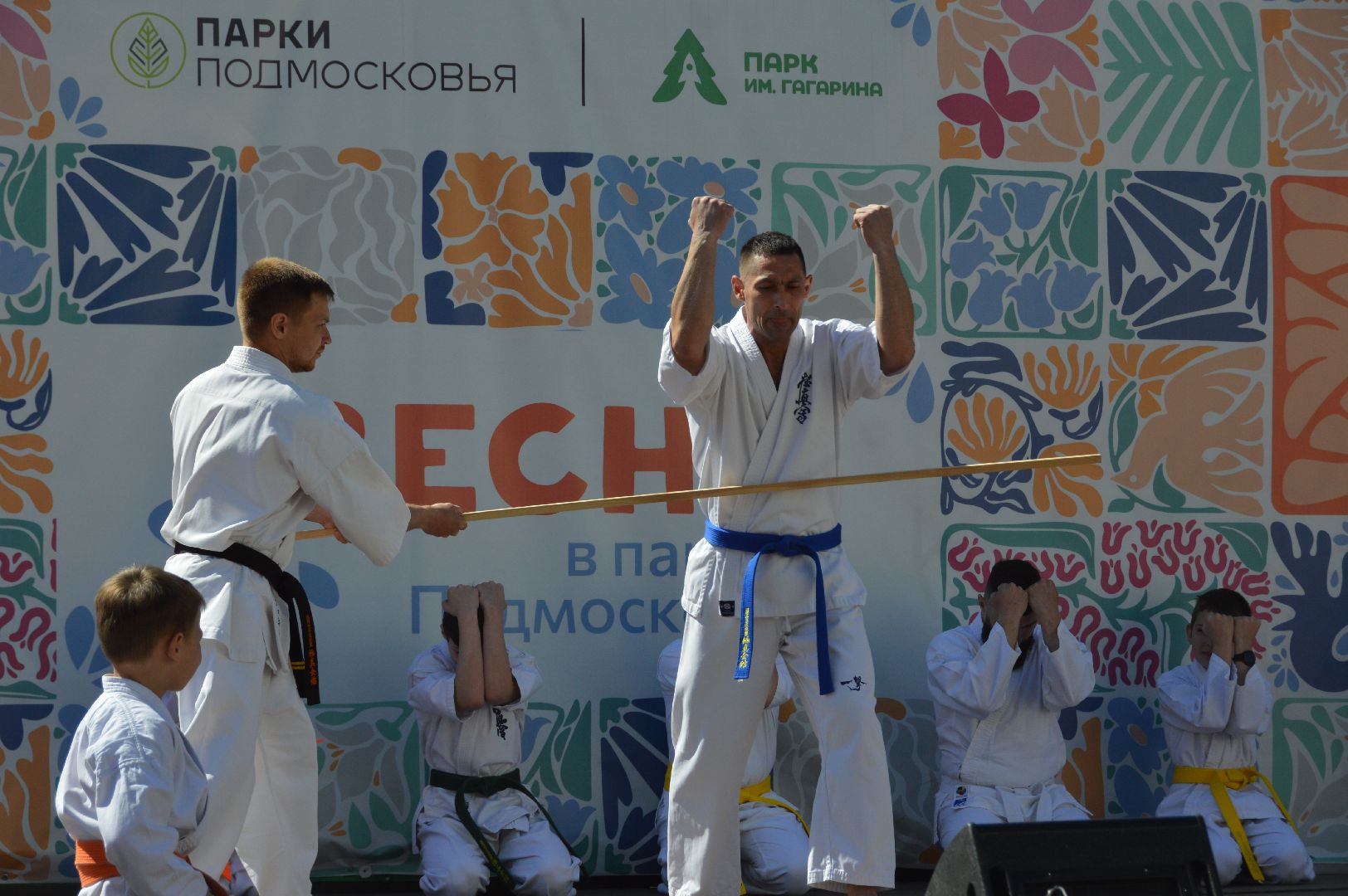 шатура, каратэ-до, мастер-класс по каратэ, тора, Орехово-Зуево, Павловский-Посад, путилково, химки, городские парки Шатуры,пустая рука,