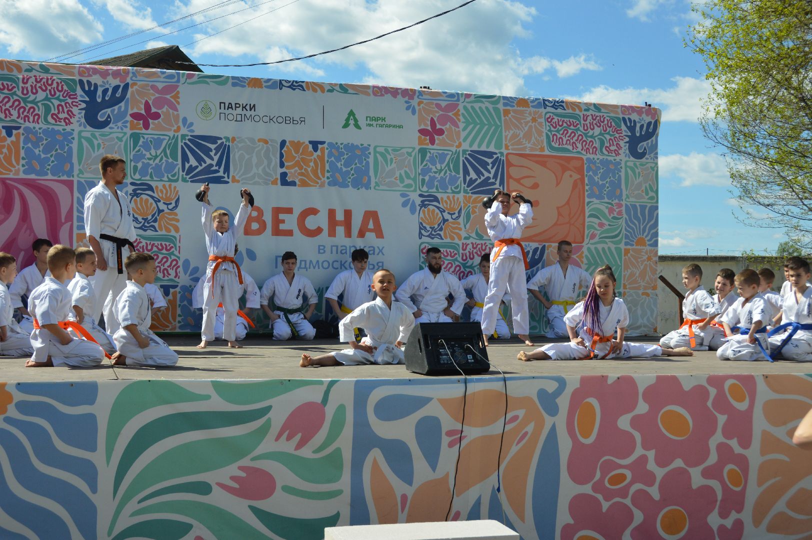 шатура, каратэ-до, мастер-класс по каратэ, тора, Орехово-Зуево, Павловский-Посад, путилково, химки, городские парки Шатуры,пустая рука,