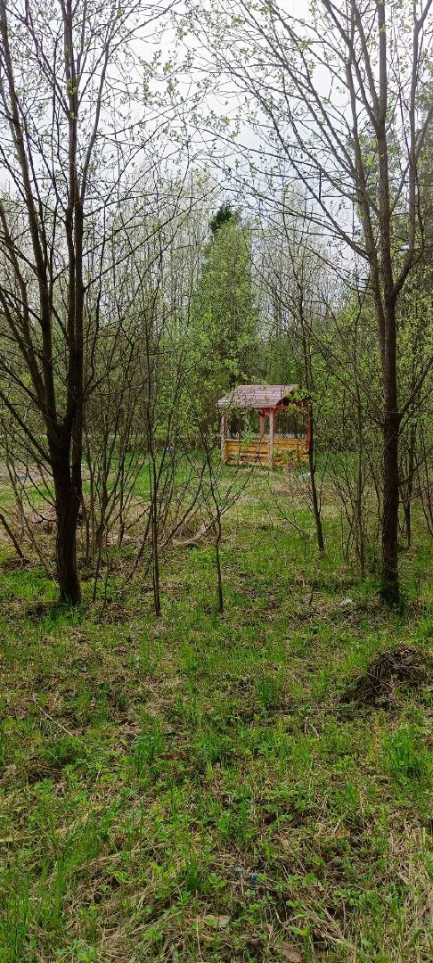 Дмитров, Дмитровское лесничество,