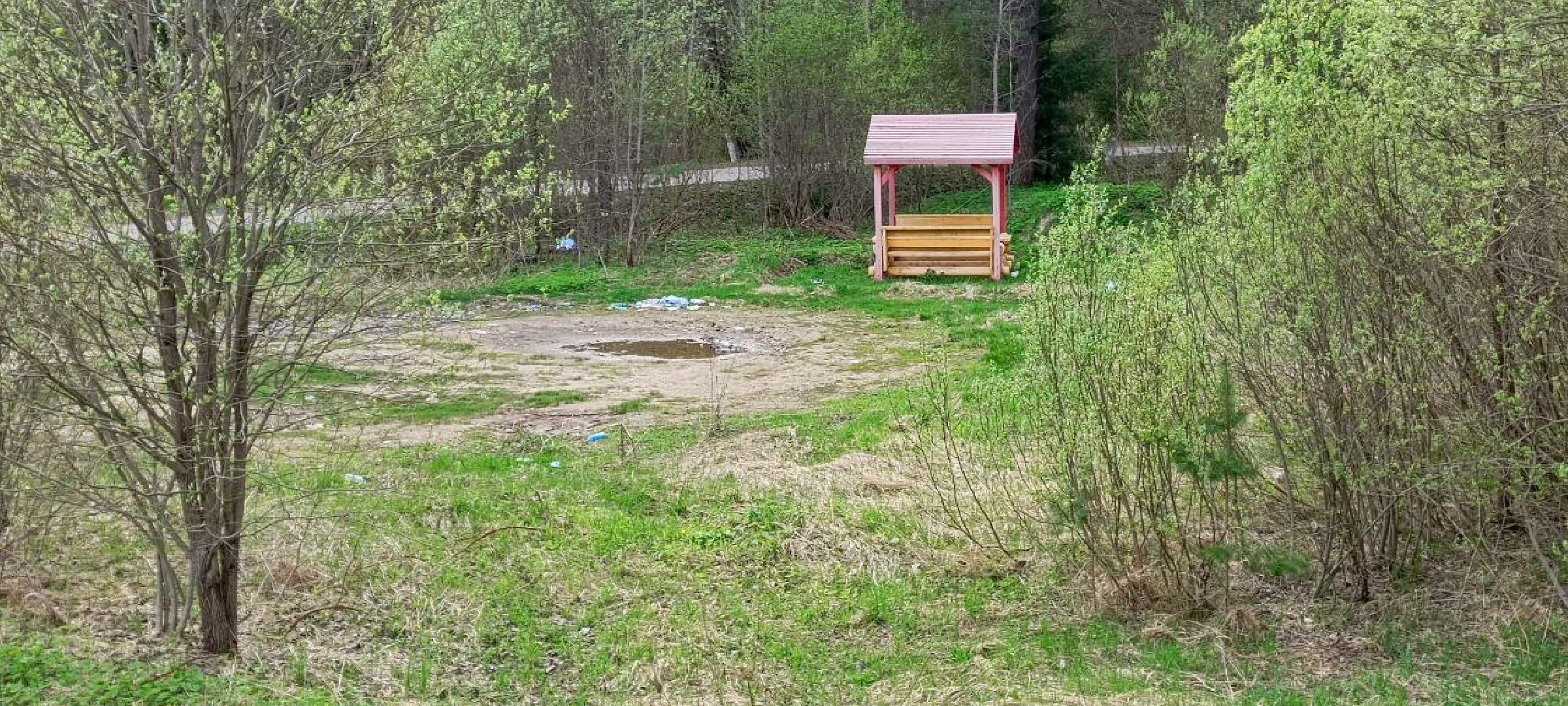 Дмитров, Дмитровское лесничество,